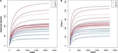 Effect of Fiber and Fecal Microbiota Transplantation Donor on Recipient Mice Gut Microbiota